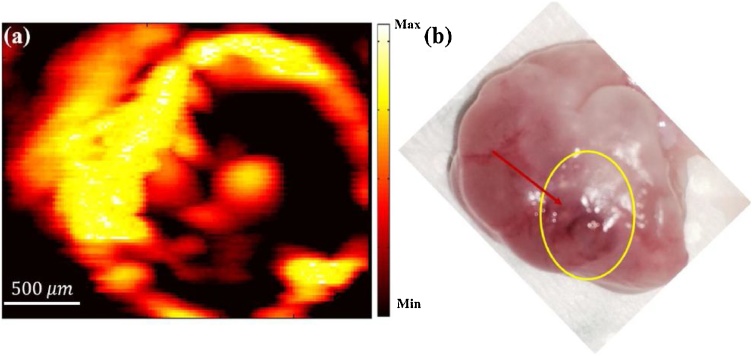 Fig. 4