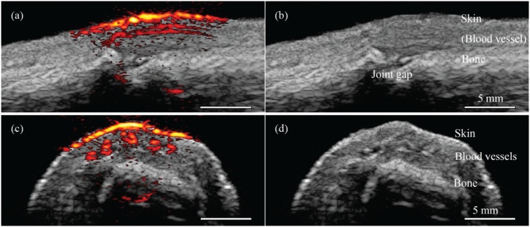 Fig. 7