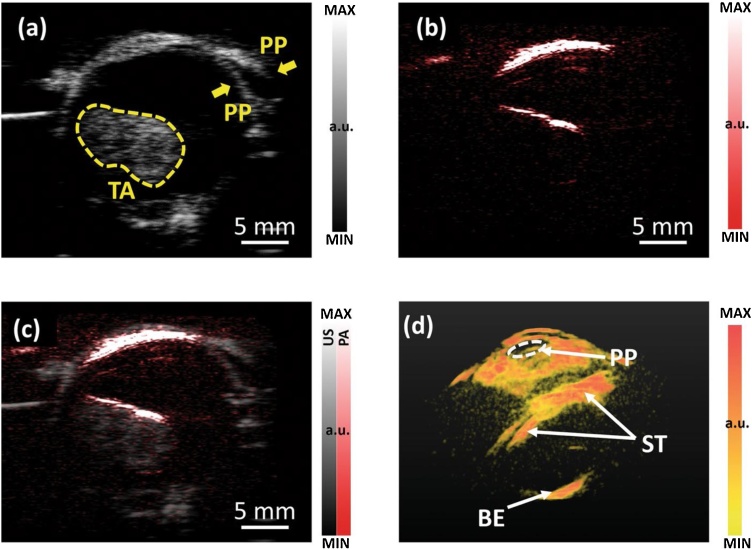 Fig. 10