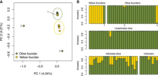 Figure 2.