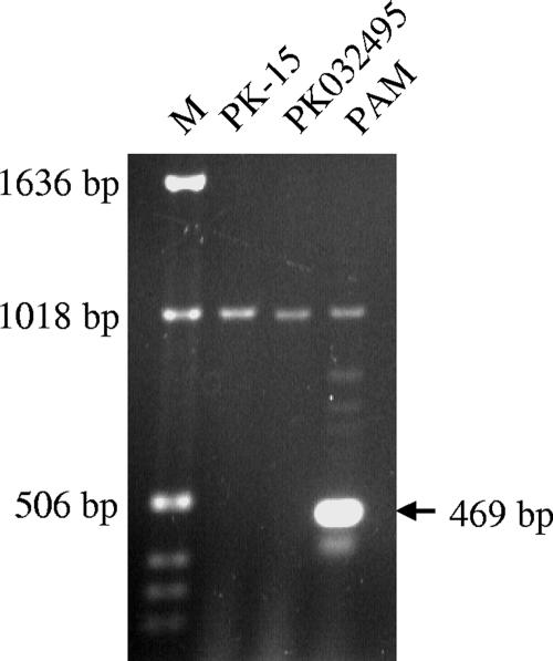 FIG. 8.