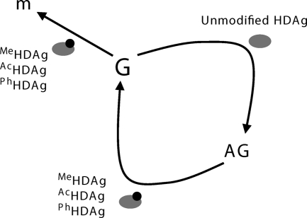 FIG. 8.