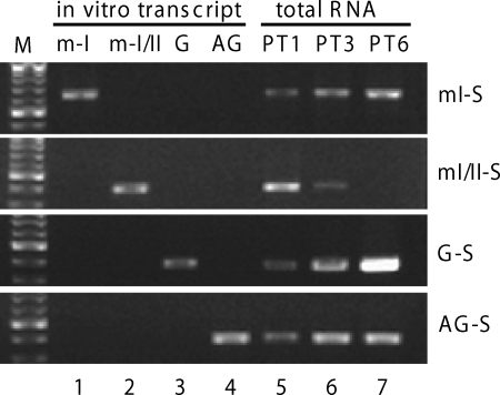 FIG. 2.