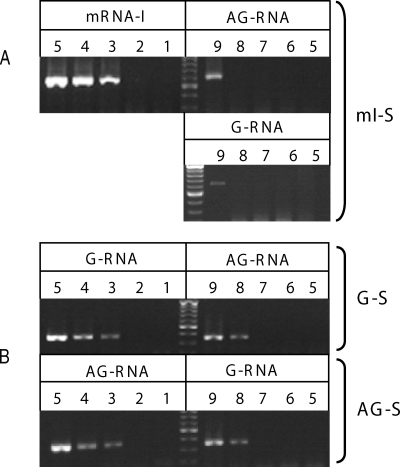 FIG. 4.