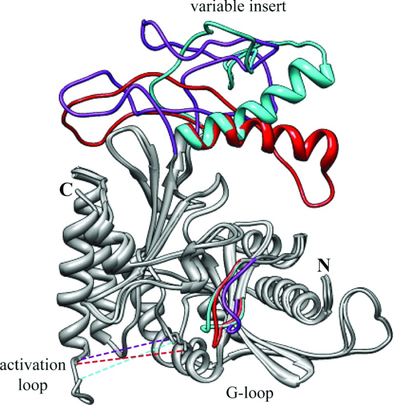 Figure 7