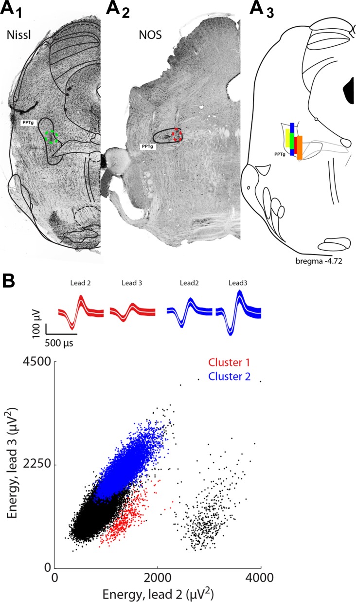 Fig. 2.