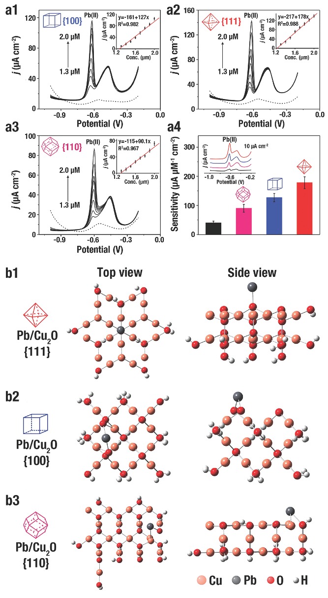 Figure 24