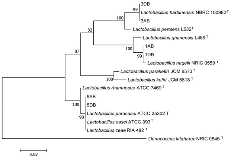 Figure 6