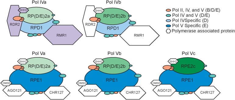 Figure 2.