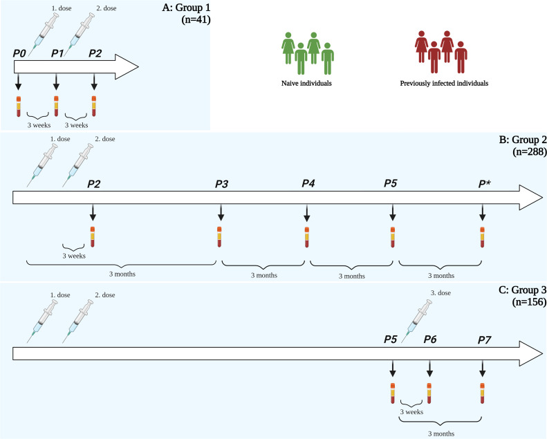 Figure 1