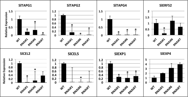 Figure 6