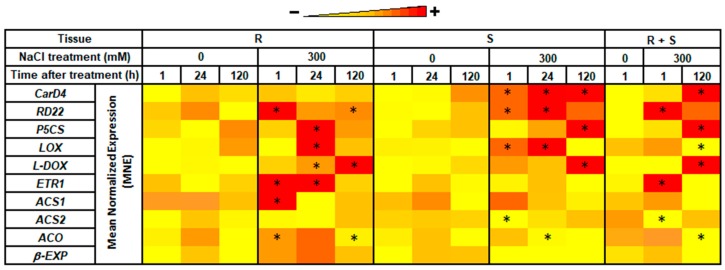 Figure 6