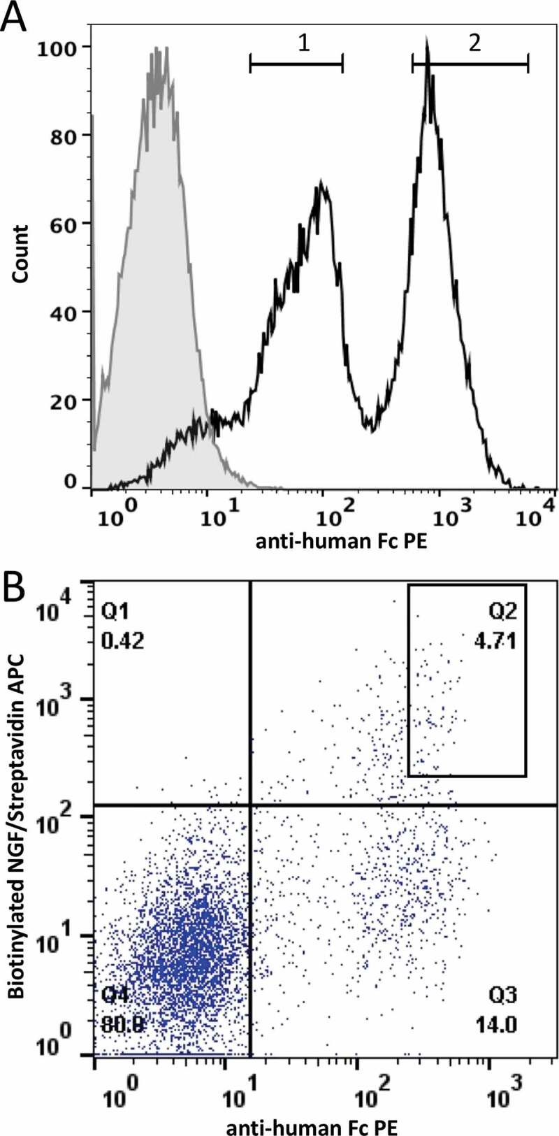 Figure 2.