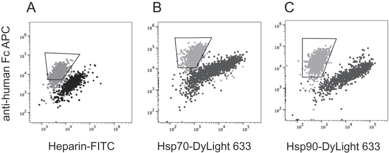 Figure 7.