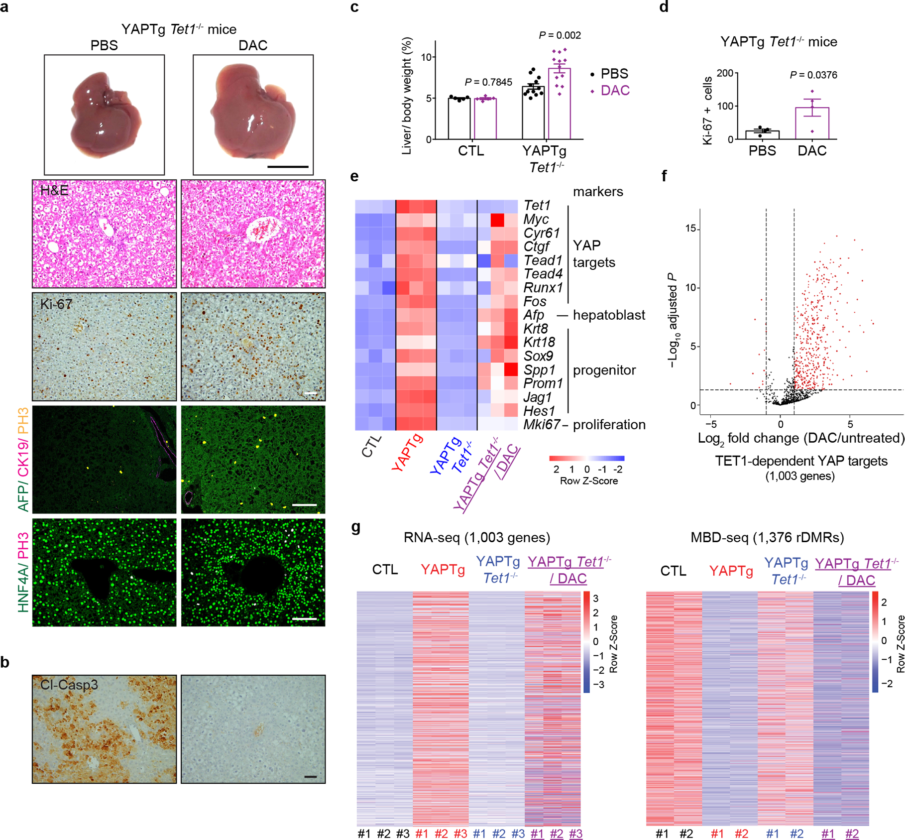 Fig. 7 |