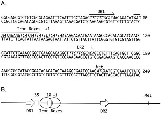 FIG. 5