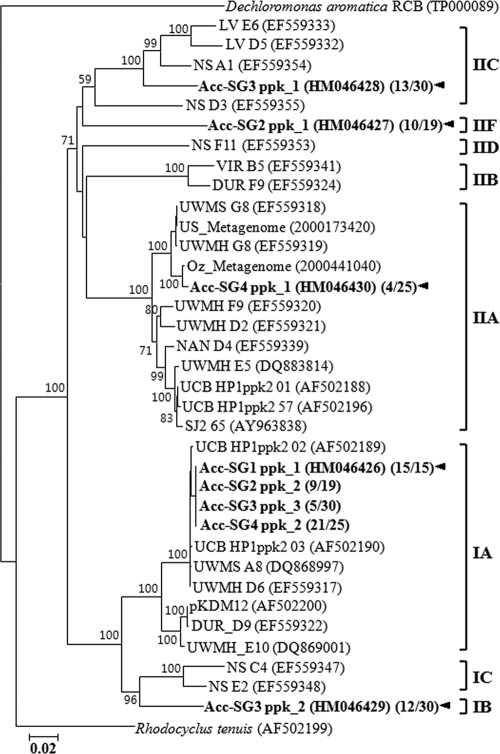 FIG. 5.