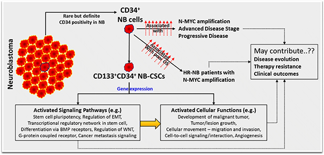 graphic file with name nihms-1632797-f0006.jpg