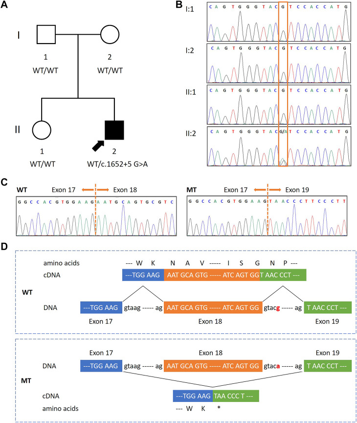 FIGURE 1