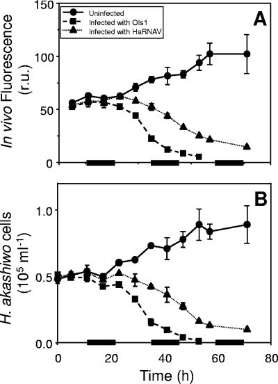 FIG. 2.