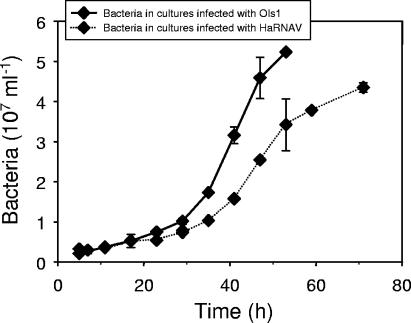 FIG. 7.