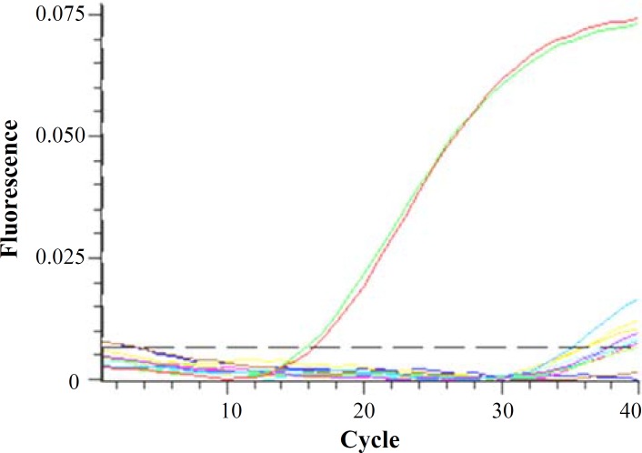 Fig. 3