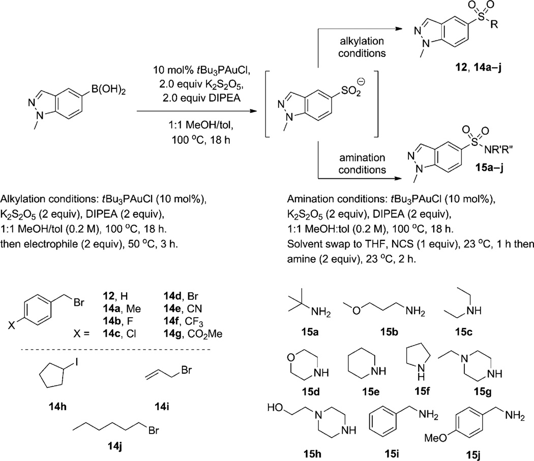 Scheme 3