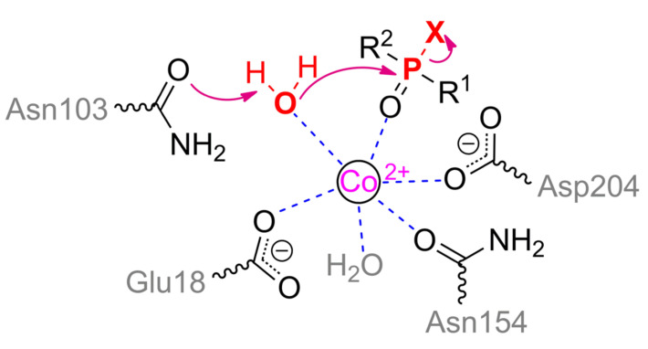 Scheme 4