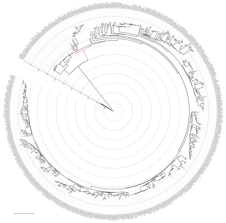 Figure 14