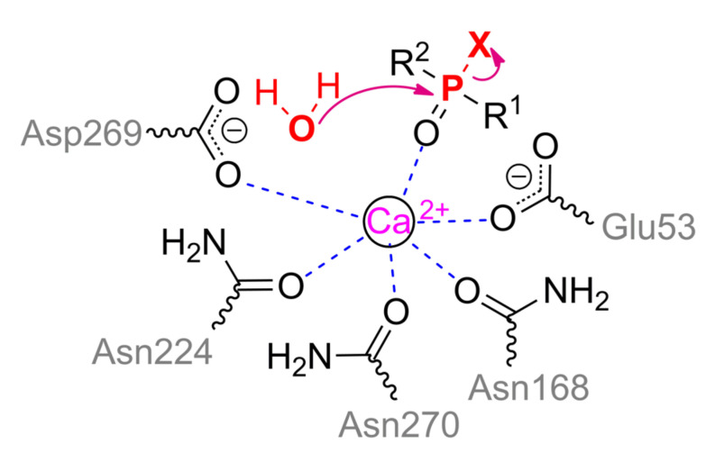 Scheme 3