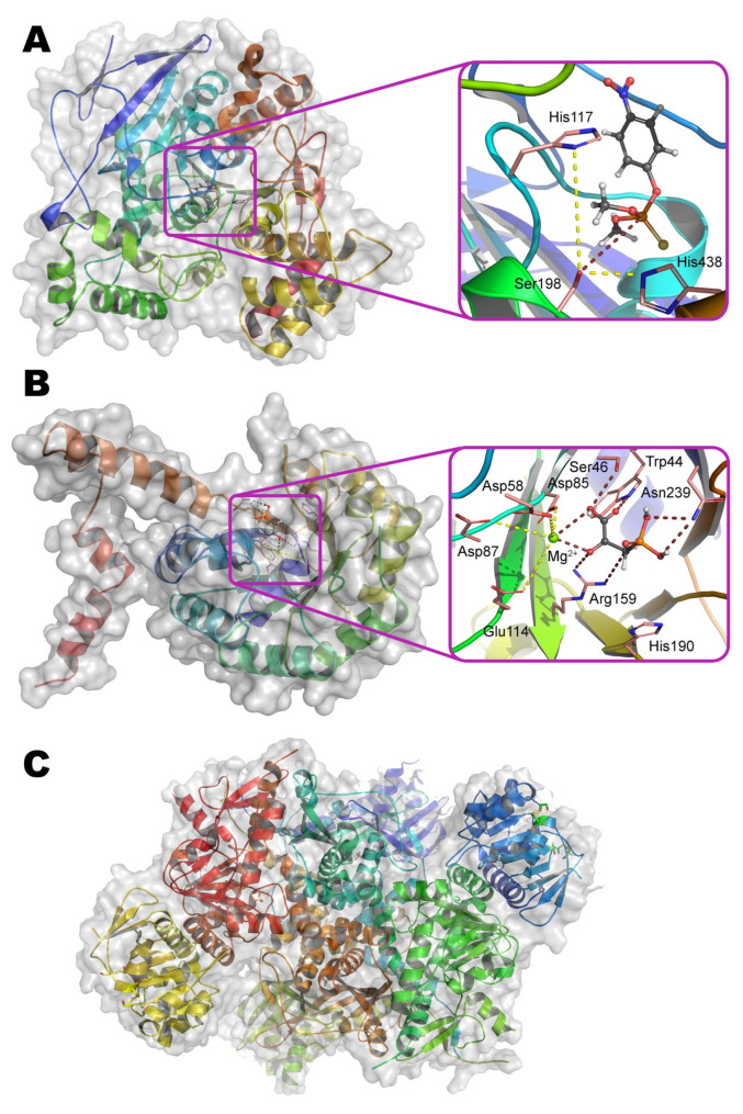 Figure 16