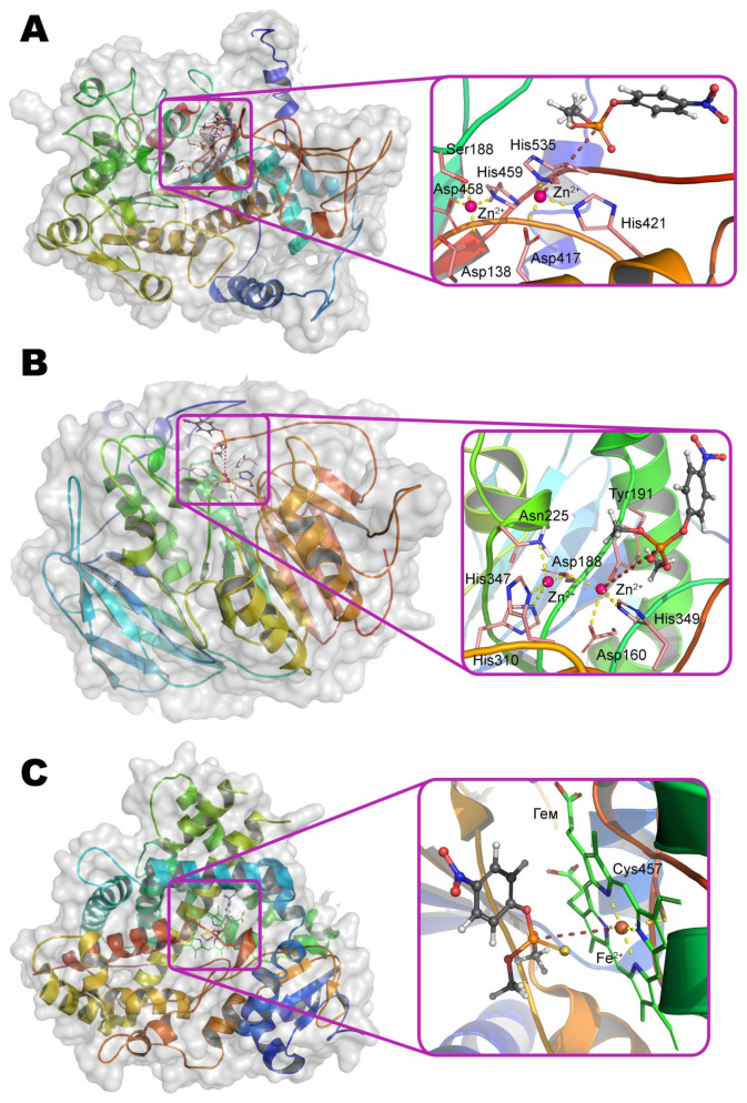 Figure 12