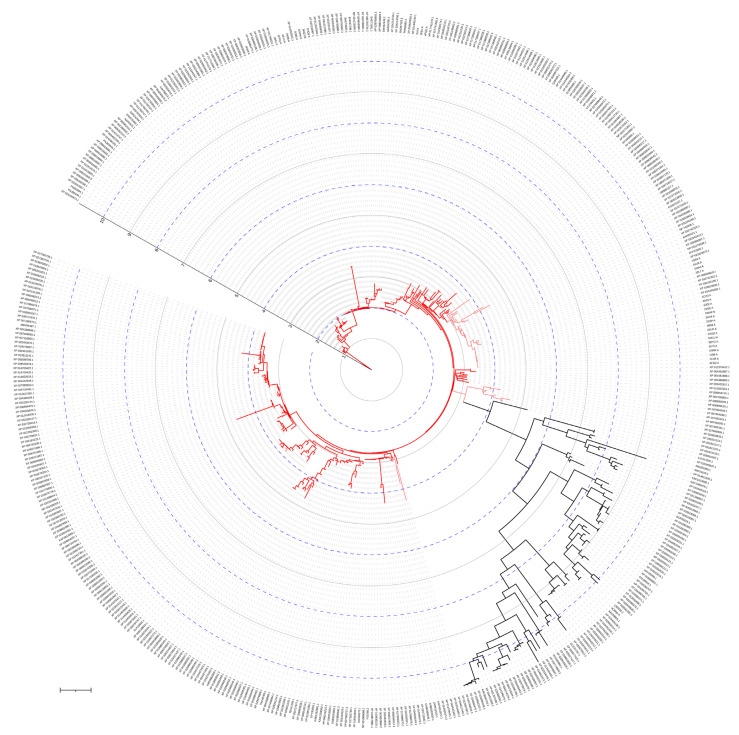 Figure 17