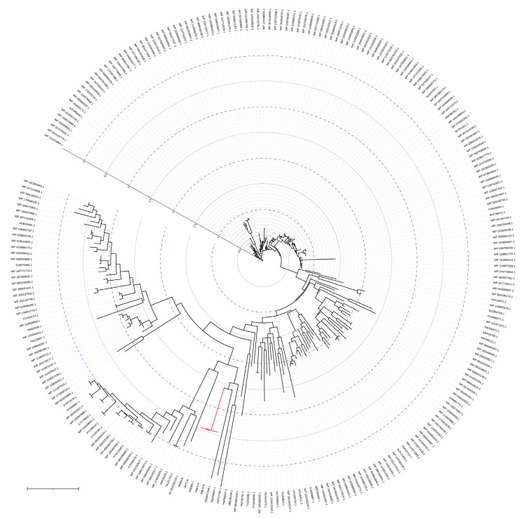 Figure 20