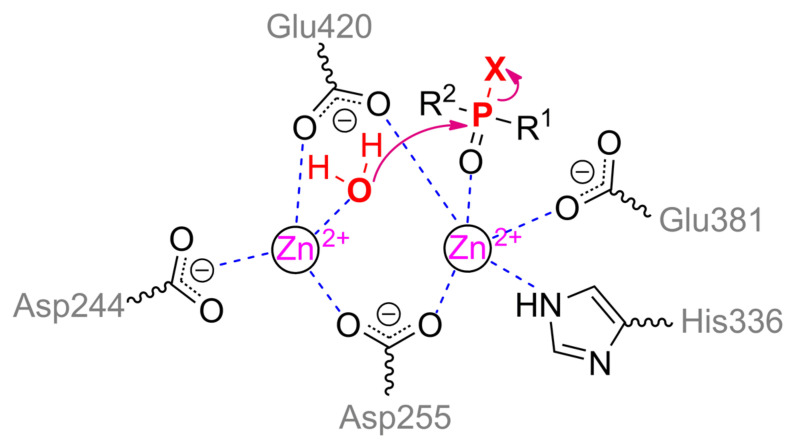 Scheme 2