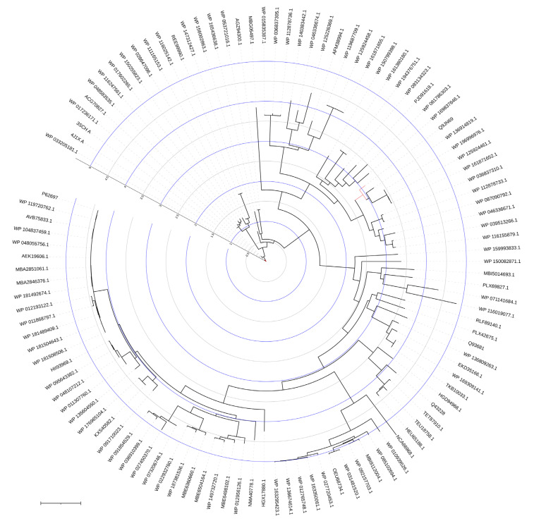 Figure 21