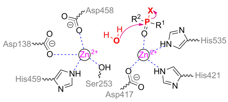 Scheme 5