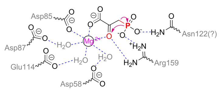 Scheme 14