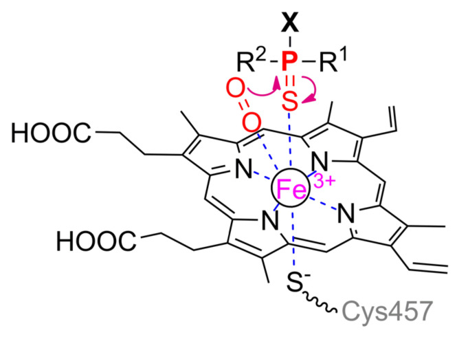 Scheme 7