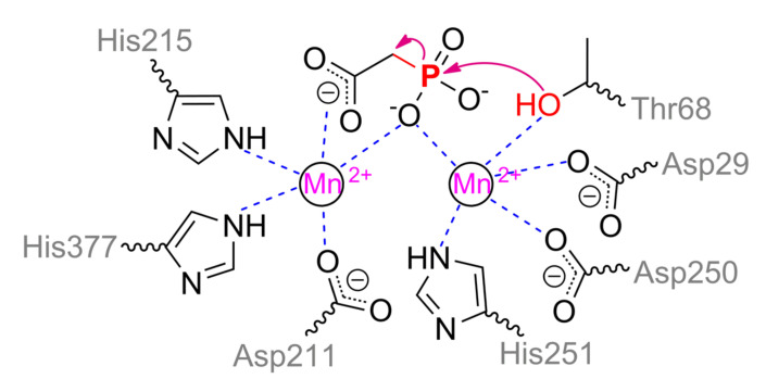 Scheme 10