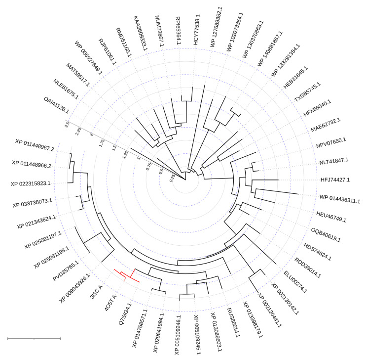 Figure 10