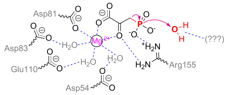 Scheme 15