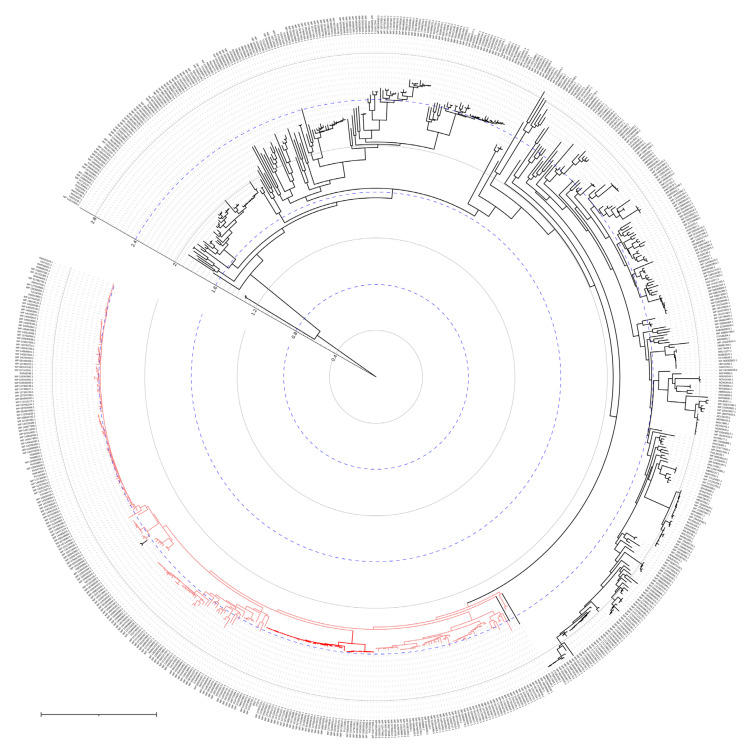 Figure 19