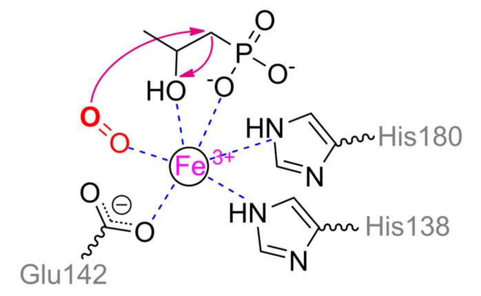 Scheme 13