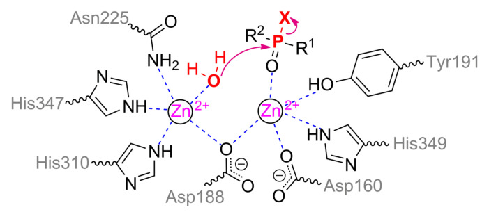 Scheme 6