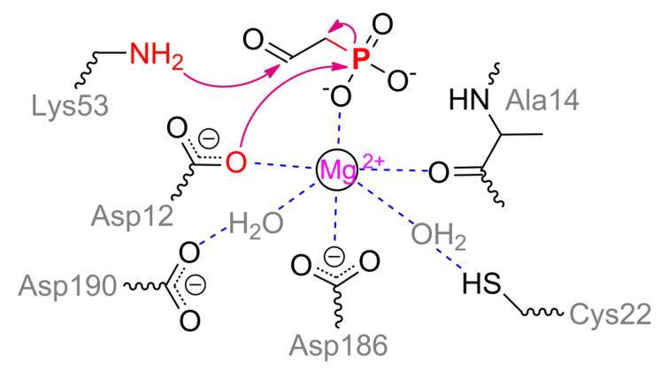 Scheme 11