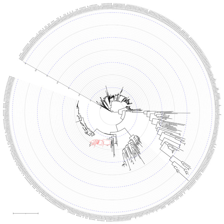 Figure 23