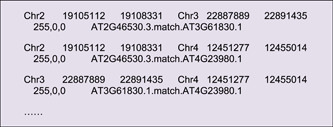 A painless way to customize Circos plot: From data preparation to ...