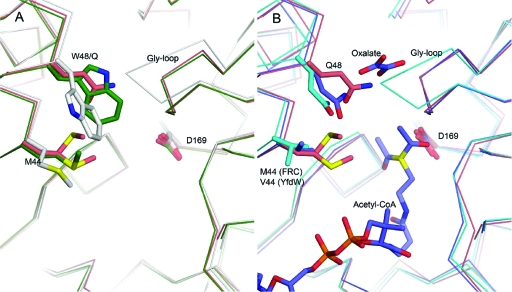 FIG. 7.