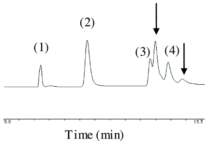 FIG. 5.